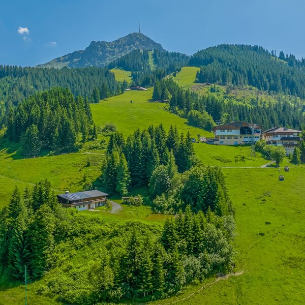 Schleichalm