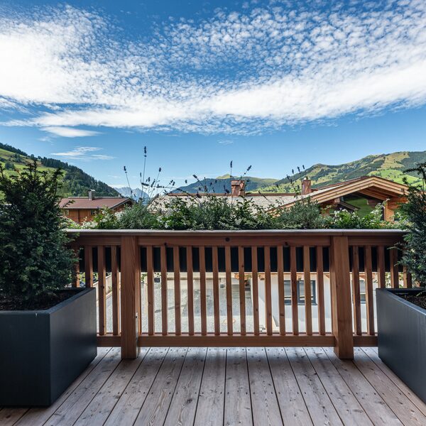 Alpine Elegance I